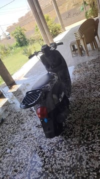 بوليس نوزل • ٢٠١٠ • مكفول