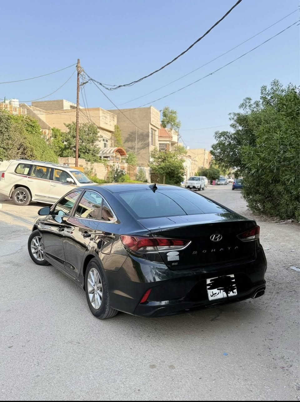 🔹️سلام عليكم
🔹️سوناتا 2019 se رقم أربيل 

🔹️مكينه 2400

🔹 شاشه كبيره 

🔹️كامره وحساسات خلفيه

🔹️تحكم ستيرن جهتين

🔹️3 انضمه قياده 

🔹️ايكو سبورت

🔹️سياره نضيفه وجديده كلش

🔹️صبغ قطعتين بدون ايرباك السونار بلمنشور

مكاني بابل مراوس بجارجر مع فرق للاستفسار ***********
