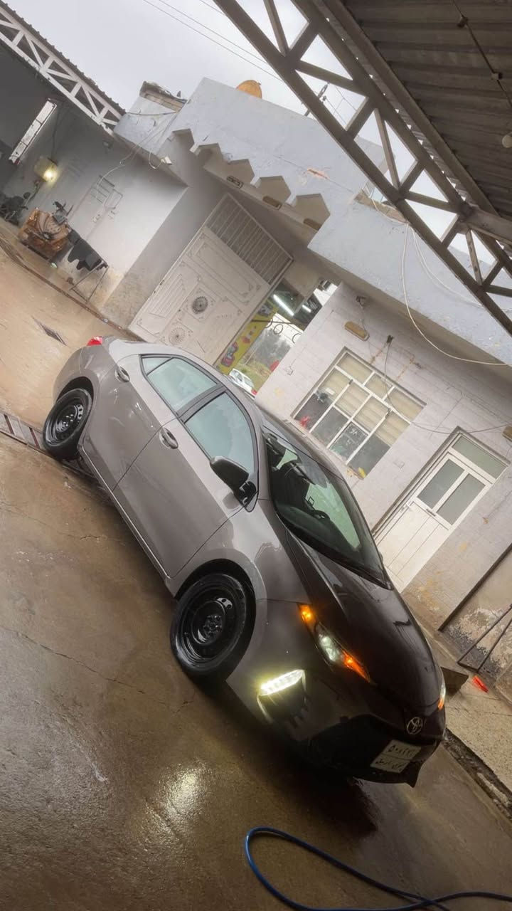 *********** أربيل, العراق
