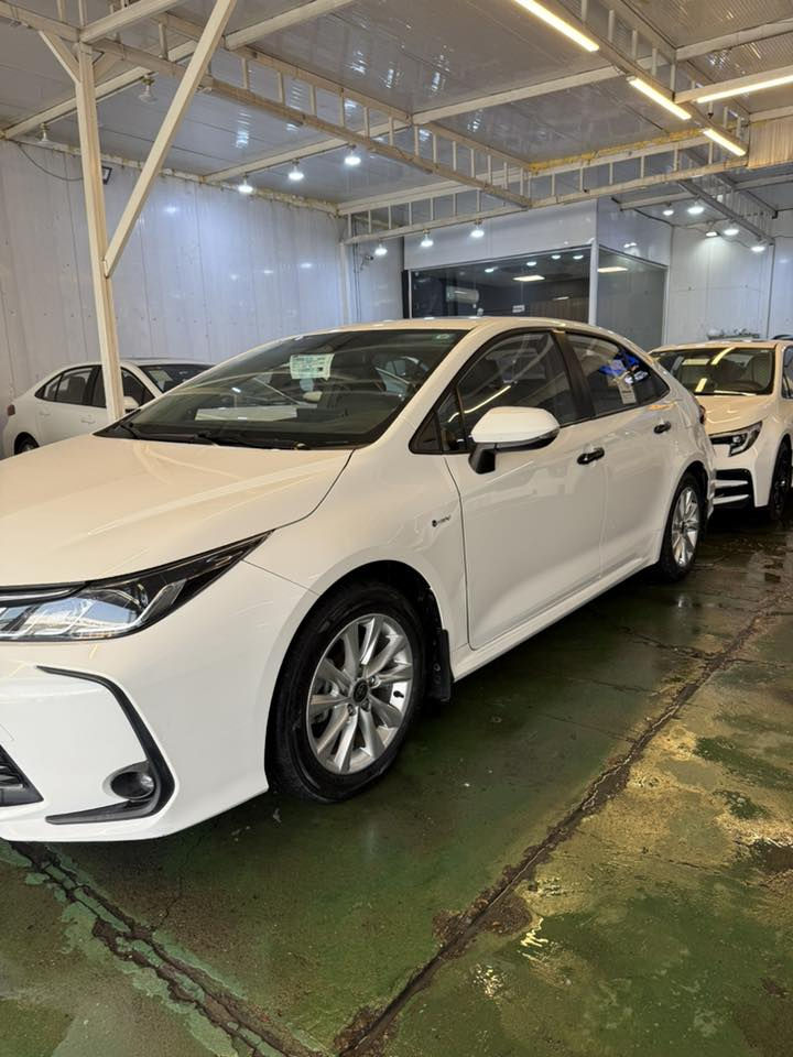 كورلا هايبرد ٢٠٢٥ شكل الخليجي
كفالة عامة
ماشية ١٢ الف
فتحة
بصمة
السعر ١٥٦$ وبيهة مجال للشراي
مكان السيارة بغداد
***********
