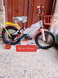 باسكلات • ياباني اصلي • ناصريه حي اريدو