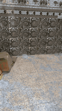 سلام عليكم
بيت للايجار 50 متر طابق ونص غرفتين نوم وصاله ومطبخ وصحيات 
الموقع / حي المثالي مقابل اسواق برتقاله 
ايجاره 300 الف 
للاتصال او واتساب 
***********
***********
