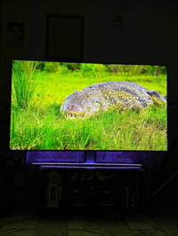 شاشة TCL • ٨٥ بوصة • QLED 4K