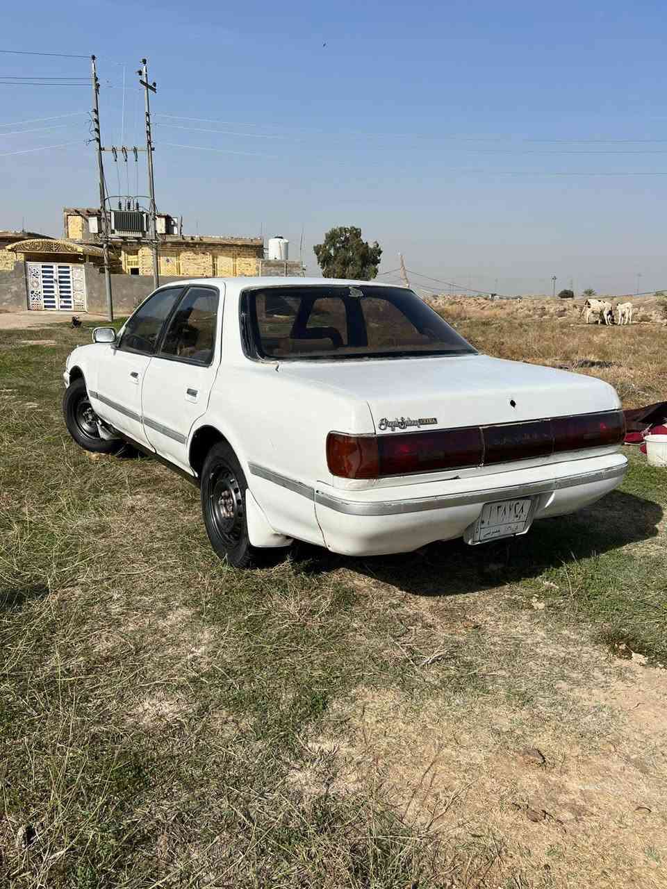 من الضربه القويه والگص والنقل والعيب الشرعي

مكينه وكير ونجي جدد كهربائيات كلها شغاله

تخم تاير حداده باور مشط لايت زنون جدد

العنوان ناصريه الشطره صاحب سياره بشطره

السعر 41 وبيها مجال *********** واتساب
