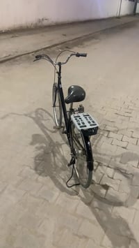 بايسكل • مصبوغ • نجف عباسية