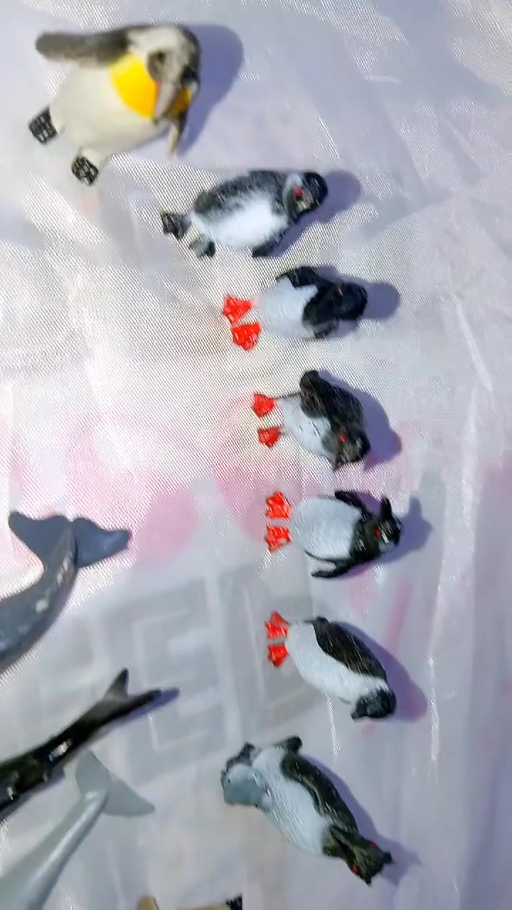 ١٥ واصل


**إذا كنت صاحب هذا الإعلان وتريد حذفه لأي سبب، رجاءا أرسل رسالة إلى الدعم الفني**