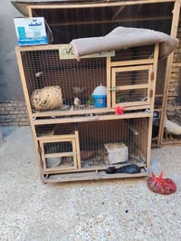 قفص • ١٤٥×١٣٠×٦٦ • نجف حي النداء