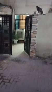 يتوفر لدينا دار البيع المساحة 100متر  طابو ملك صرف  العنوان منطقة سويب...