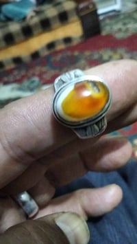 جزع معطف • الشطرة ذي قار