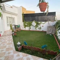 أربيل • تنسيق حدائق • زرع تيل