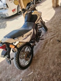 قفاز • دايون • ٢٠١٩