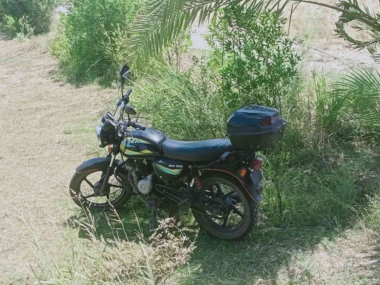 22
950
*********** واتساب 
***********

