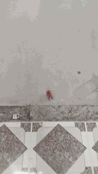 جنوب الموصل • بلبيار • حالة نضيف