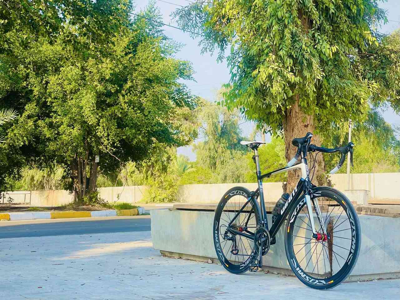 السلام عليكم ..
رود جاينت دفاي 2017 المنيوم
قياس ML 
سستم 105 ماعده البريكات
كير امامي 2 خلفي 11
وياله كوزمك بطيخات كاربون بيها مكان بريك دسك 
ماشه كاربون 
ركبه كاربون
سرج كاربون
سيراميك سبيد كاربون
قاعده مطاره كاربون
هدية جنطة مع قفل وبك لايت  
 .
السعر ٦٠٠ وبي مجال بسيط 
مكان بغداد


**إذا كنت صاحب هذا الإعلان وتريد حذفه لأي سبب، رجاءا أرسل رسالة إلى الدعم الفني**