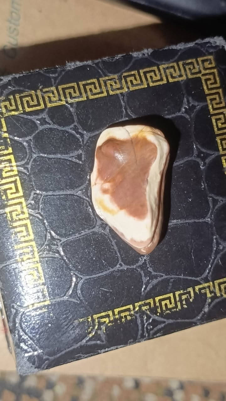عطف احمر ب 50


**إذا كنت صاحب هذا الإعلان وتريد حذفه لأي سبب، رجاءا أرسل رسالة إلى الدعم الفني**