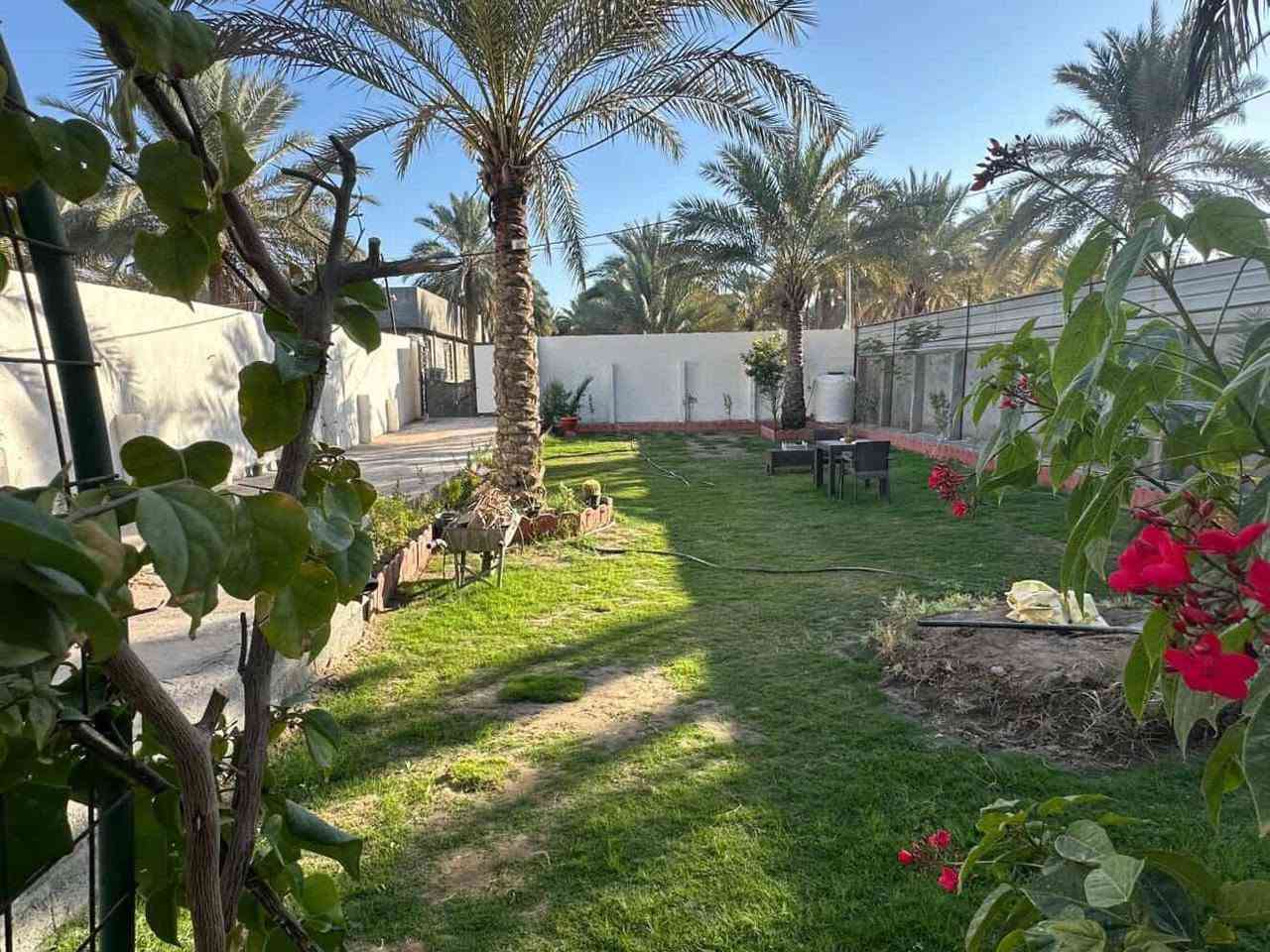 هذا البيت 650 متر طابو زراعي سند 25 بيت  واجه 14 ونزال 45 متر. وحديقه 250 متر يباع مع الاثاث . المنطقى مي مجاري كهرباء خدمات كامله يبعد عن الامام 4 كيلو طريق بغداد كربلاء عمود 51 قرب جامعة الزهراء خلف خباطه العبتة يرهم مراوس مع فرق. للاستفسار فقط اتصال
***********

هذا البيت 650 متر طابو زراعي سند 25 بيت   واجه 14 ونزال 45 متر. وحديقه 250 متر يباع مع الاثاث . المنطقى مي مجاري كهرباء خدمات كامله يبعد عن الامام 4 كيلو طريق بغداد كربلاء عمود 51 قرب جامعة الزهراء خلف خباطه العبتة يرهم مراوس مع فرق. للاستفسار فقط اتصال
