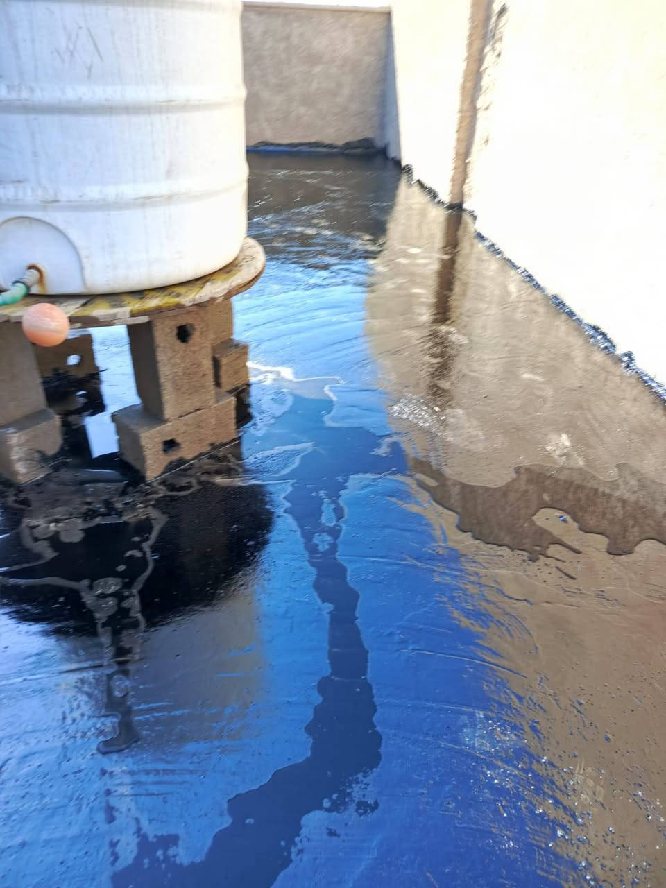 بين اليأس والمعجزة أمرٌ من الله 🤍
أحيانا يختبر الله صبرك لا ليحرمك، بل ليهيئ قلبك لنعمة أكبر مما طلبت. لا تحكم على حياتك من فصلٍ واحد، فما زالت هناك صفحات لم تُفتح، وأقدار لم تصل، وأدعية لم يحن موعد إجابتها بعد. ثق بالله، فكل ما أخّره عنك لحكمة، وكل ما كتبه لك سيأتيك ولو بعد حين. 🤍

ياربي لك الحمد كما ينبغي لجلال وجهك وعظيم سلطانك 

#عملي في قضاء هيت منطقة حي (الخضر) قبل 8 سنوات باشرت ب عمل السطح ماده القير واليوم باشرت بي ادامه السطح ماده القير درجه اولى
#مستعدين لتقيير الأسطح والمباني الحكومية وتقيير احواض الماء من الرطوبه 
#مستعدين لتزفيت القطع الأراضي والرباطات والجدران والارضيات من الرطوبه الارضه 
#وعمل ماستك السطوح وتصليح الماستك القديم كوي واضافة 
#وعمل فرش الباد السعودي 
#وعمل ماده الايزوكام الدرجه الاولى 
#وعمل المادة البيضاء بكافه انواعها شبكه او بدون شبكه عازل حراري 

#رقم الهاتف           ***********    ابو آدم المحمدي
