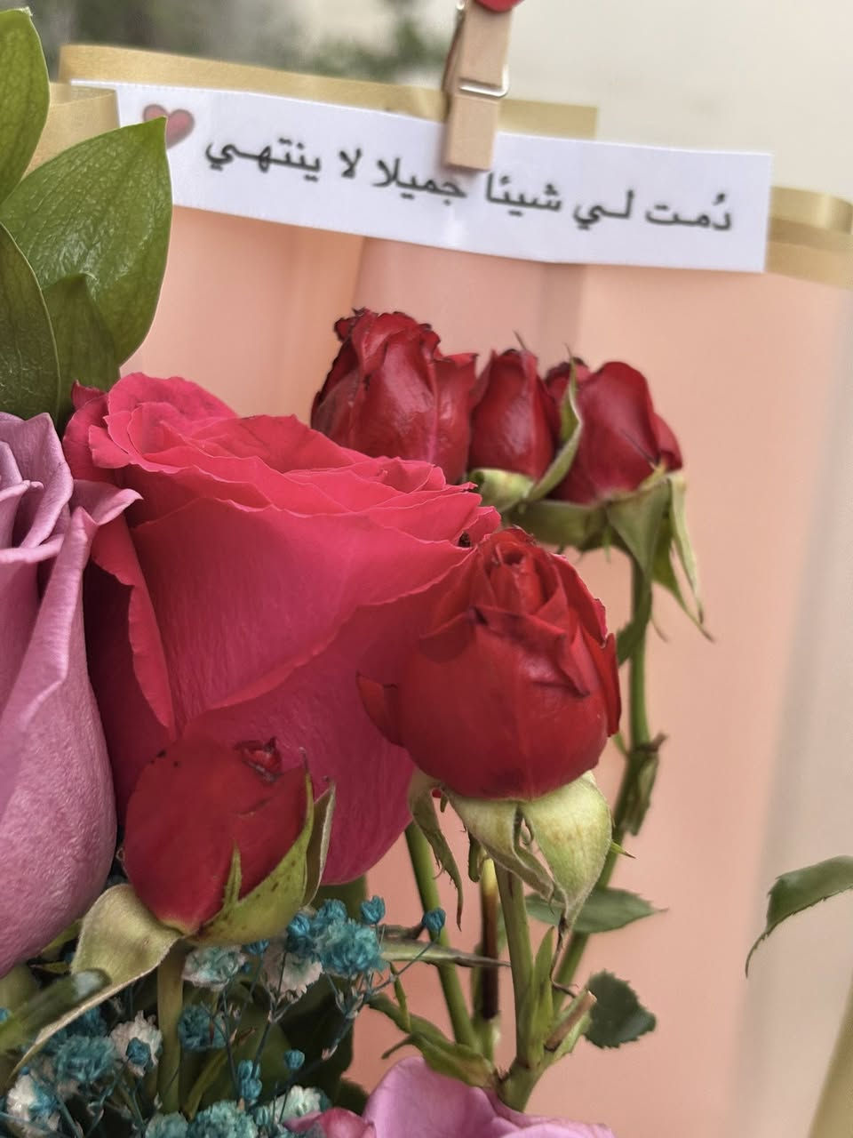 #_لورد_لطبيعي_وجمال_اوردر_عيد_الحب_
#كله_متوفر_بس_يم_فضه_flower 🌸❤️#


**إذا كنت صاحب هذا الإعلان وتريد حذفه لأي سبب، رجاءا أرسل رسالة إلى الدعم الفني**