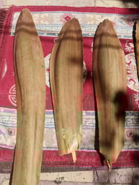 فحل • نخل غنامي • الهوير