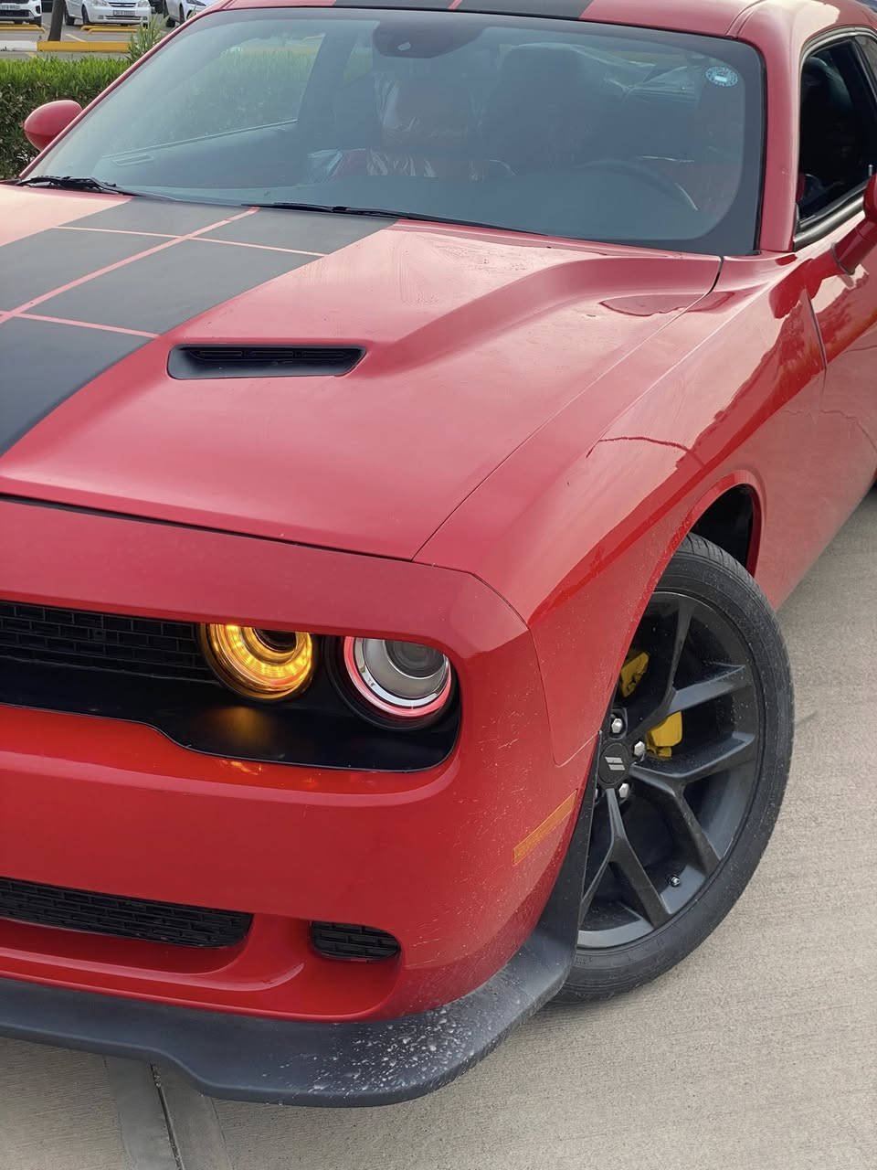 Dodge challenger  2023 SXT❤️
بدون ئيرباك بدون صبغ 
فقط قطعتين مبدل بيلادي 
رقم وجاهزه


**إذا كنت صاحب هذا الإعلان وتريد حذفه لأي سبب، رجاءا أرسل رسالة إلى الدعم الفني**