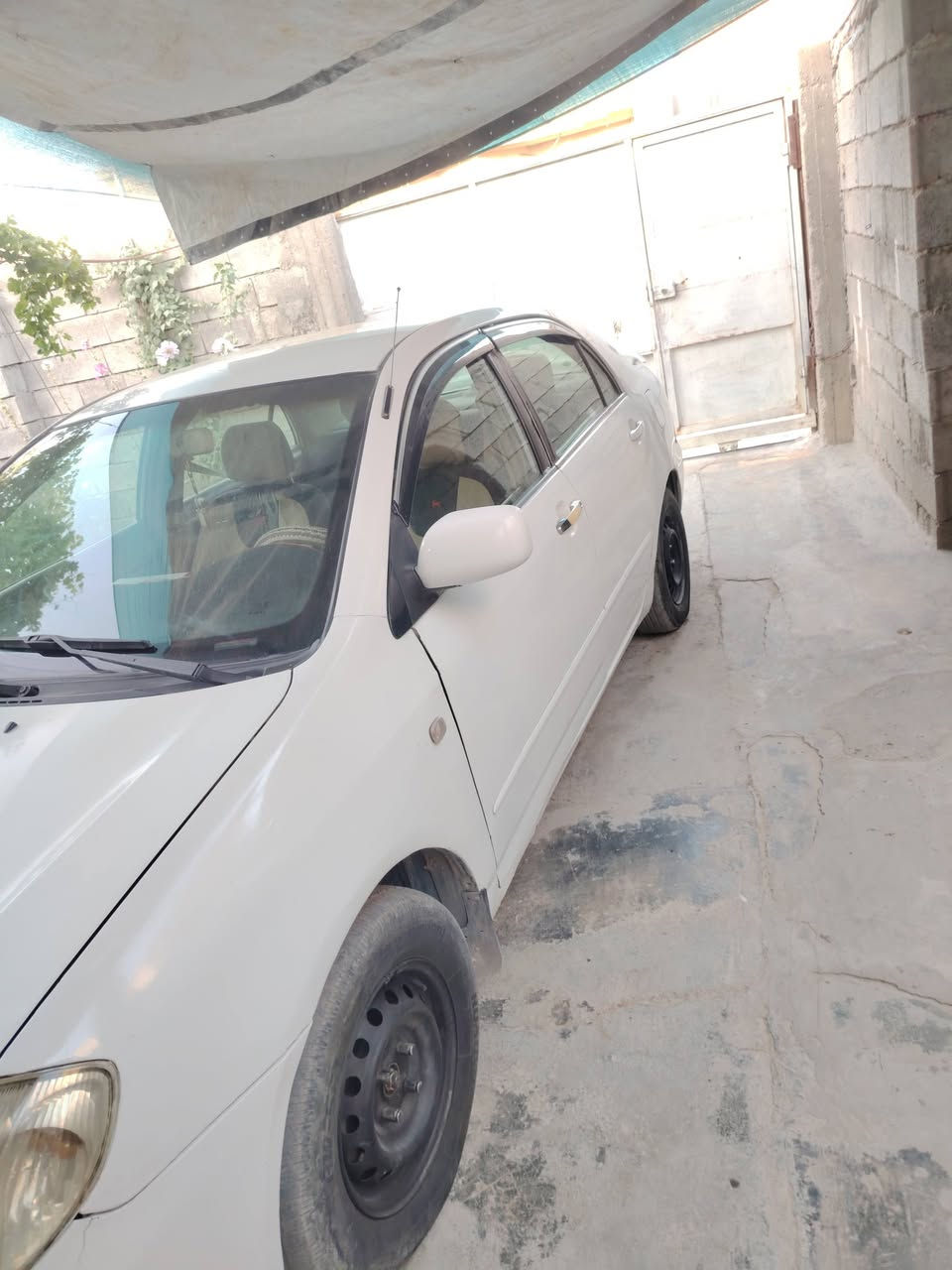 بيكاشو للبيع حزام بدون دواخل كير محرك تبريد شرط السعر خاص اتصل وتتدلل /***********
