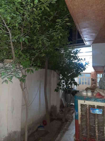 الدار للبيع في حي القادسية متكون من أربع غرف نوم طابقين الطابق الأول غرفة نوم واستقبال وغرفة ضيوف ثانية مع صالة وحمام ومطبخ والطابق الثاني ثلاث غرف نوم وحمام وسطحين القاط الأول الأرضية كاشي والقاط الثاني الأرضية سيراميك حتى السطح الأول سيراميك  المساحة للبيت ١٦٠ متر الوجه تقريبا ٩ونص والنزال ١٧ متر مع كراج وحديقة من جانبين والبيت ركن ومع البيت كاونتر تفصال مع غرفة نوم قاطين اخت الجديدة وهذا رقمي انا صاحب الدار (***********) طابو زراعي قرار ٢٥ وسعر البيت [١٣٠] وبي مجال للشراي
