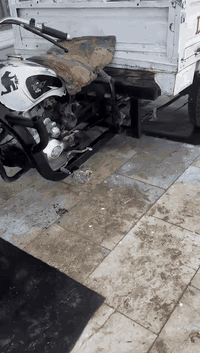 سلام عليكم ستوته البيع كلك كلك***********
