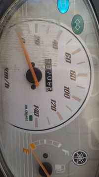 بريز بغبغاء رمبة ووراق مزاد للمراوس ب سبيسي شرط زيرو وكالة 07811979332
