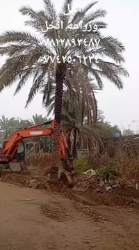 ٠٧٨١٢٨٩٣٤٨٧ مشتل الوادي الاخضر  ٠٧٧٤٢٥٠٦٢٣٤