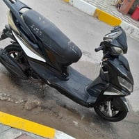 سكنس • صيني • للقطع