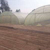 بيوت بلاستيكية • لبناني الصنع • ٢٢قوس ٥٢م×٩م