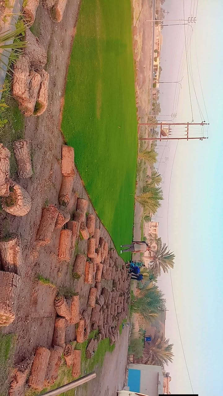 السلام عليكم////عرض رمضاني يخبل
اسعار مناسبة ازرع حديقتك بأافضل انواع الثيل الامريكي وخضار مع توصيل مجاني وعمل ديكورات بكل انواع الزينة ورزع الاشجار
للحجز والاستفسار
***********
وتساب
