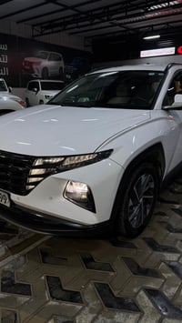 توكسان • ٢٠٢٤ • رقم اربيل