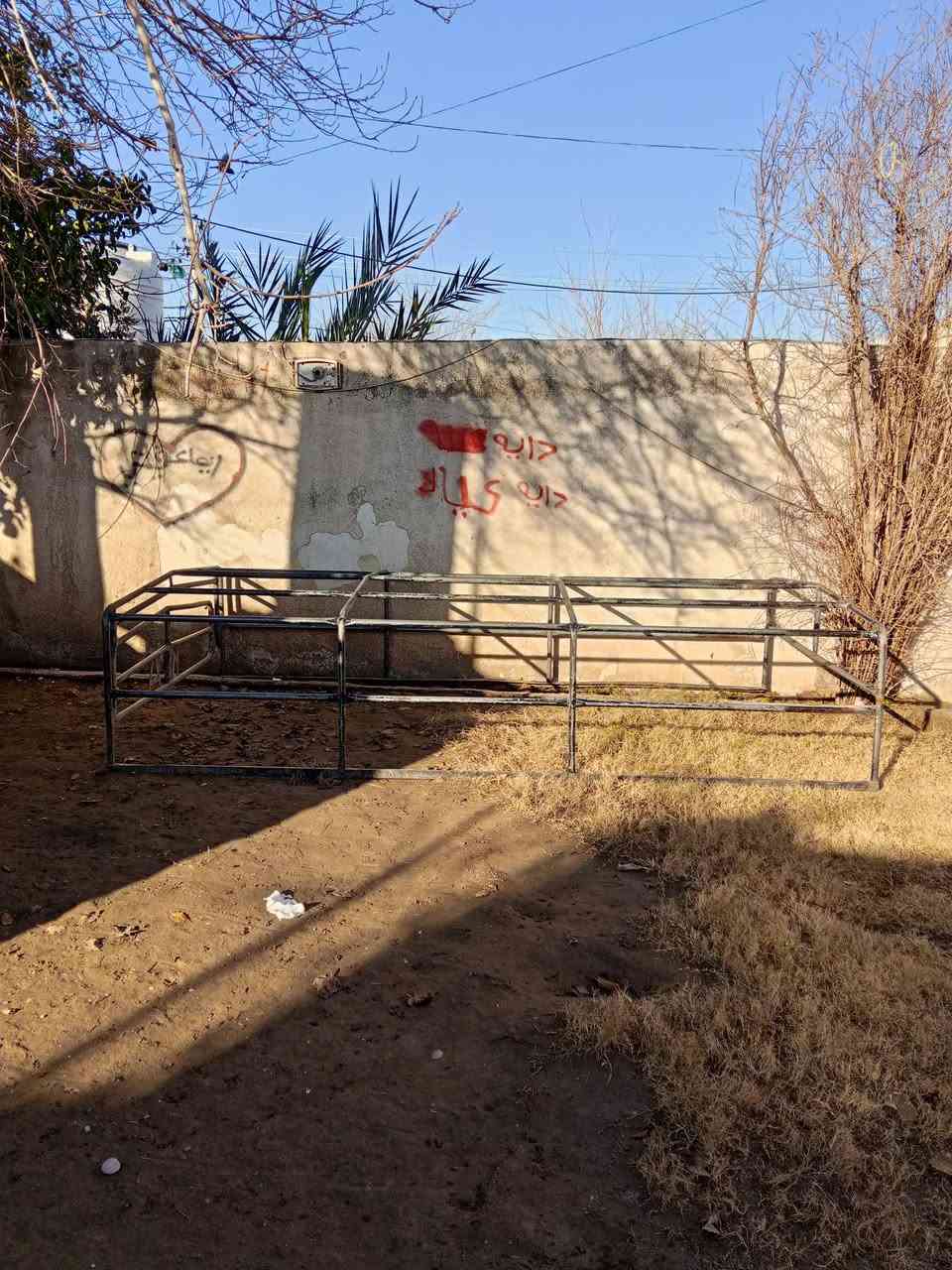 سلام عليكم هنكلاي البيع كيه فحل رتفاع 60 لمكان ربيل سعر 110          ***********...***********
