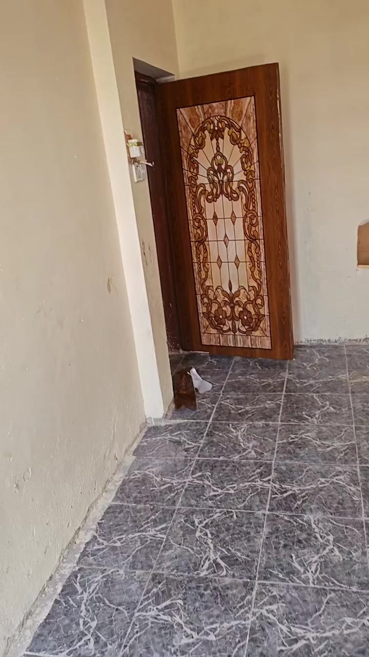 شقه لليجار حي اور قرب حسينية المصطفى
استفسار خاص ***********
