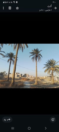 نصف دونم • مزروع نخيل • دار ١٠٠م