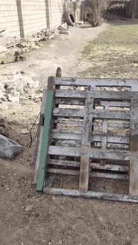 السلام عليكم محجر شخاط سته وبع لبيع ***********
