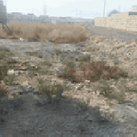 حله بزوير الغربي • ٢٥٠م • طابو زراعي