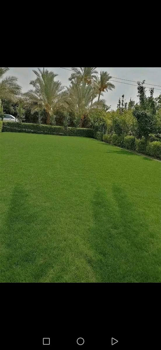 يوجد لدينا ثيل هندي سعر المتر المربع ٣٠٠٠ الف والتوصيل مجاني للتواصل واتساب ماسنجر اتصال *********** باداره حمودي الرملاوي
