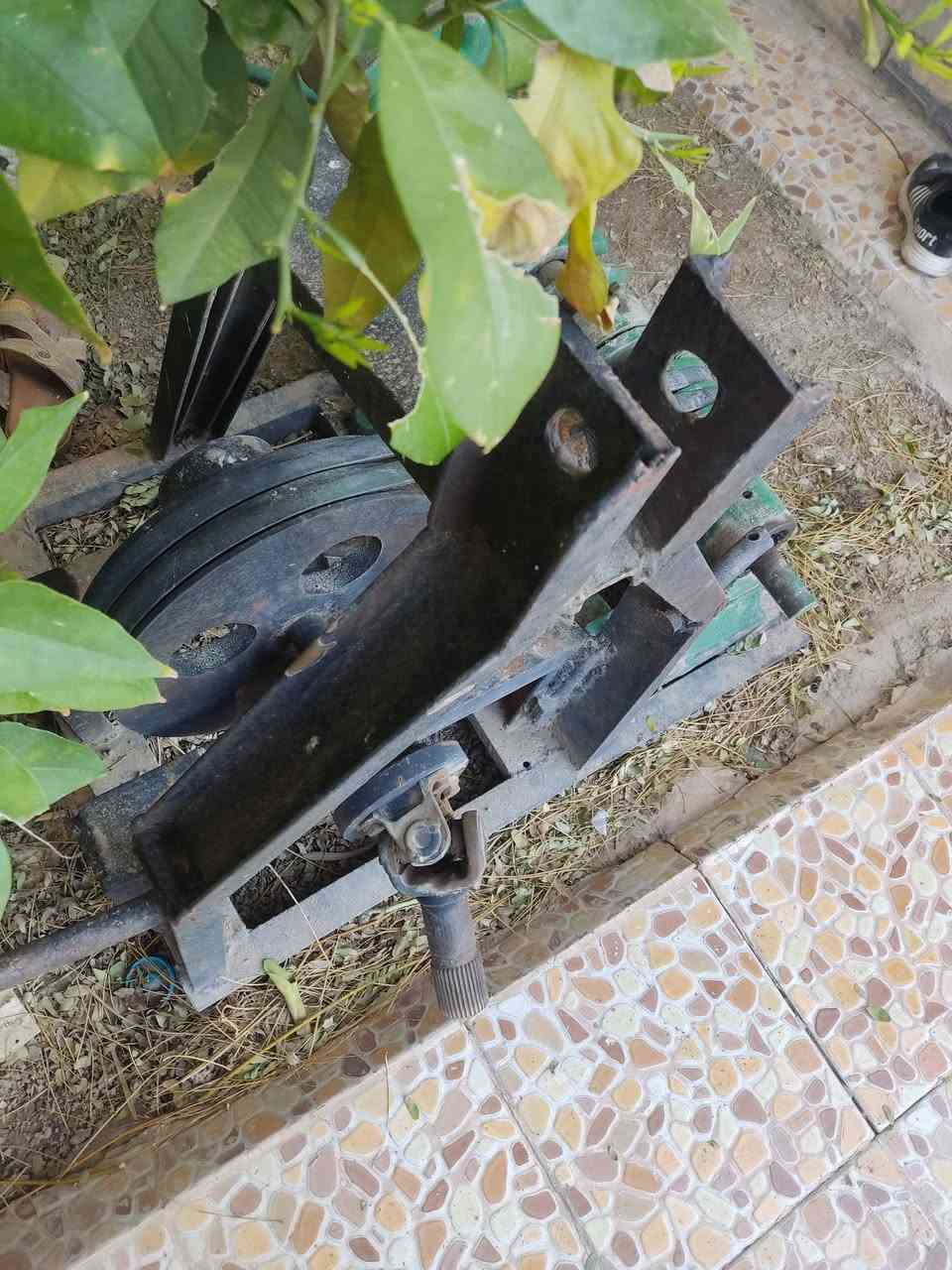 خنزيرة نظيفة حجم6/ب5
فول نظافة  شغلها خير من الله 

سعر 450
 العنوان /ديالى جلولاء 

للاستفسار الاتصال على ***********
