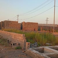 طابو زراعي • سند ٢٥ • ١٥٠م