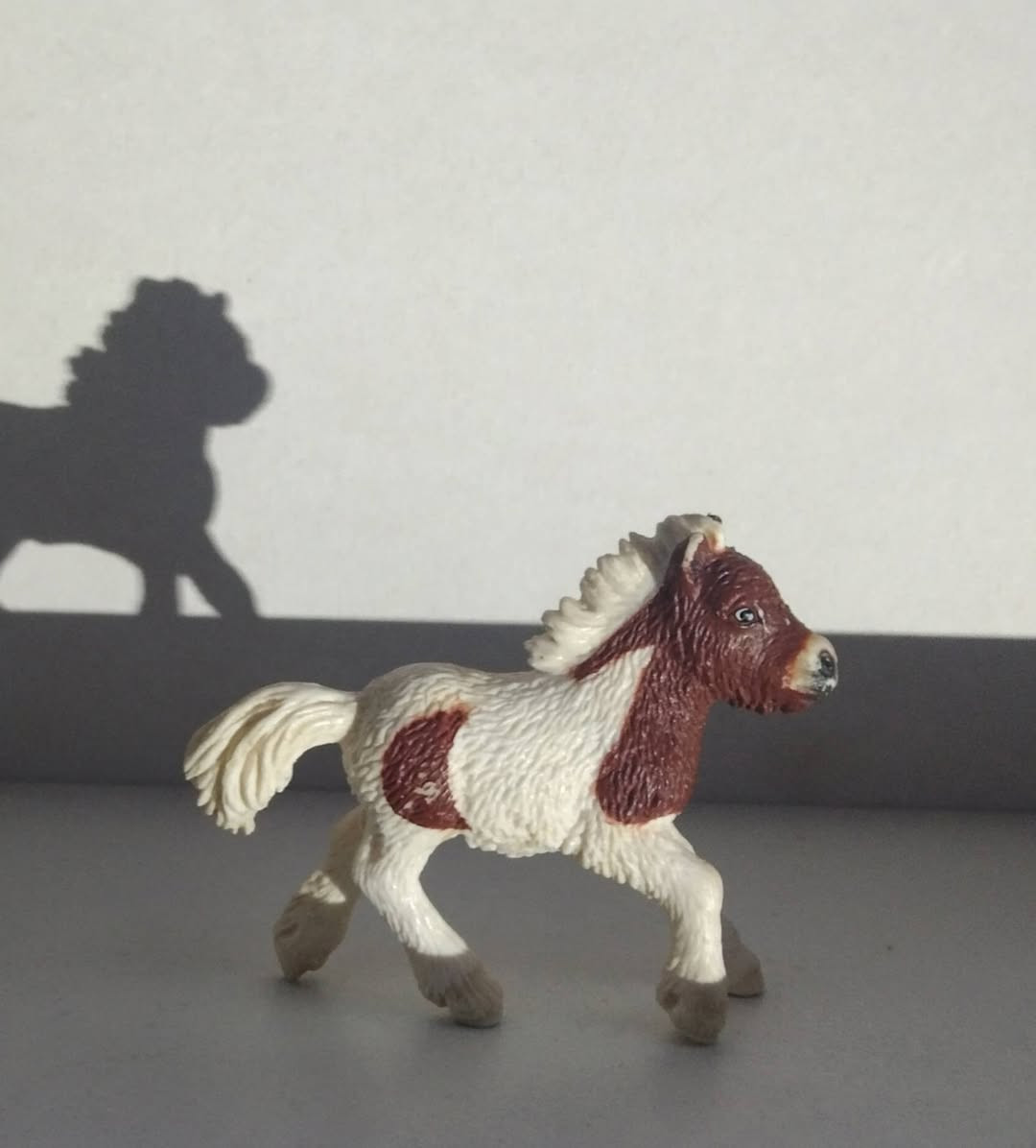 مجموعه شلايش اصلي راسلني وتدلل


**إذا كنت صاحب هذا الإعلان وتريد حذفه لأي سبب، رجاءا أرسل رسالة إلى الدعم الفني**