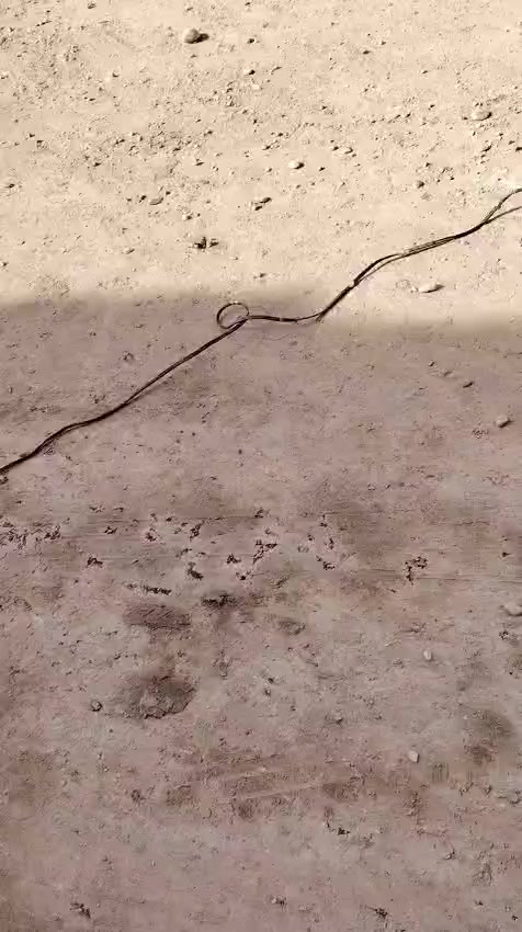 قطعة للبيع في حي المعلمين حي الألبان 120متر 10×12 مربعه ثانية عن الشارع ب١٠٠ وبيةمجال
موقع مميز م

#حي #المعلمين 

قطعة للبيع في #حي #المعلمين حي الألبان 120متر  10×12 مربعه  ثانية عن الشارع

موقع مميز مقابل مدرسة 

#ب١٠٠وبيةمجال دفن وحدل درجه اولى سبيس 

#اتصل*********** @الجميع @إشارة
