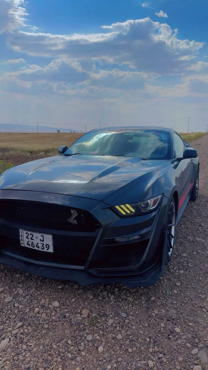 Ford mustang ecoboost v4

2016

سعر110 وي مجال بسيط
او مراوس

الحادث قطعة وحدة جاملف خلفي

وبيها بارد بسيط على كد الاصابع

بجم كبس

مكينة موديل 2022

شوتة JLT كاملة

شاشة Sync 3

وياله فيردا أصلية

مبرمجة أربع مودات قيادة

عليها أدامه  كاملة فلتر وفيول بمب وبلكات وهل أمور

دسكات جدد

تايرات جدد

محدثة شيلبي

منظومة عدسات جديدة

السيارة ربع متصرف عليها كاملة

مكملة من حدادية مكينة كير وأكسل

شباب لحد يقارنها بالمهجومات

الحزام والقطع الصبغ لأن السيارة قطعة وحدة صبغ ومصروف عليها هواي

رقم الهاتف ***********

مكانها بغداد بلديات
