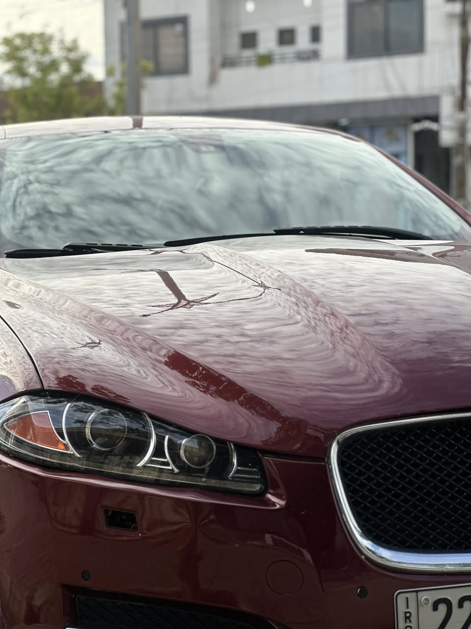 السلام عليكم
جاكور xt2013
محرك 2000 يربو 
فول موصفات 
لايت متحرك ترحيب 
فتحه
مرايه شفط 
لدات ترحيب 
رادار جانبي 
حساسات امي وخلي كأمره دواره 
كشن جلد خزن ميموري
ستيرن كهرباء 
نفكيسشن
صندوق شفط 
كير محرك بشرط 
ابيع سياره حزام ملاحظه سياره مو حزاممم 
اكفل شرعيات وشواصي 
رقم أربيل سنويه ما ساقطه شرط التحويل 
*********** 
مكاني كركوك 
سعر 90 وبي مجال ✔️
