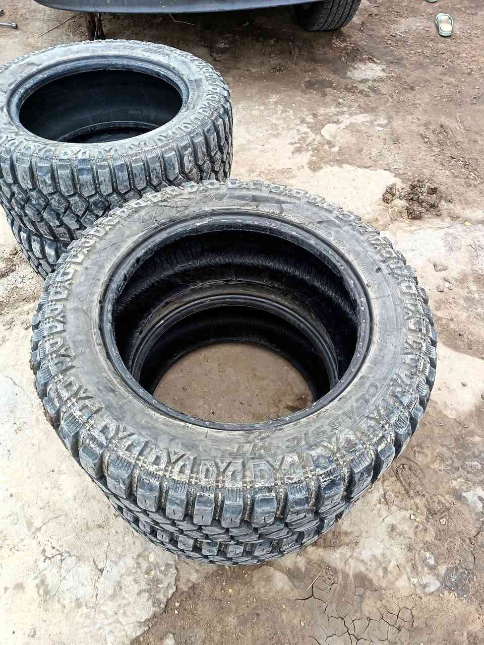 تيارات تخم جديدقيس حجم 20 َ َََ 55ََََََ ََََََ 275 هذا قيس جدا توني شادهن صارشهر مكاني الديوانية ***********
***********
