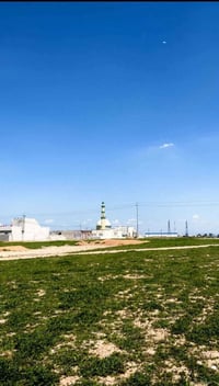 القوسيات • ١٠٠م • سند ٢٥