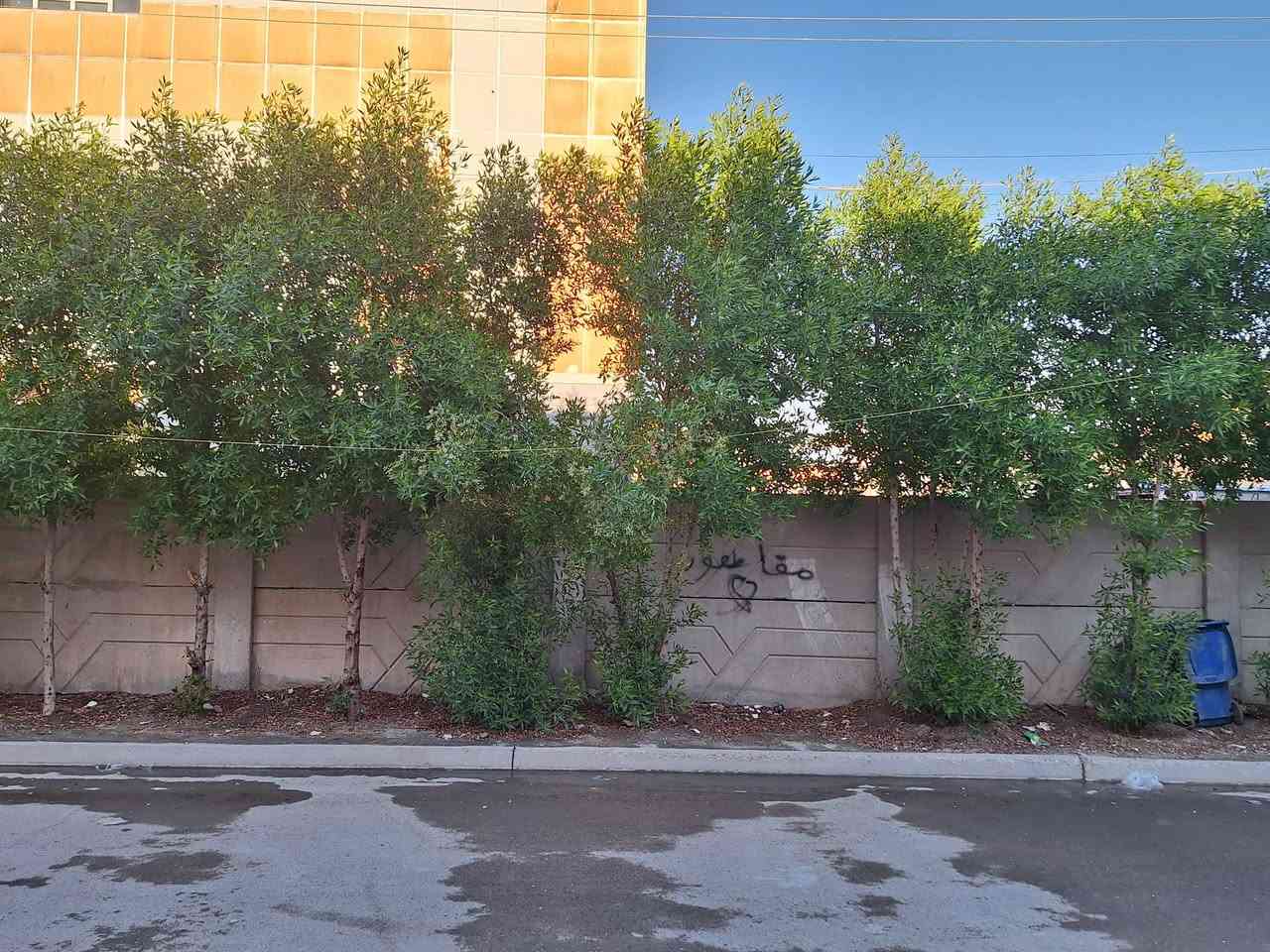 السلام عليكم دار للبيع المساحه ١٥٠متر الواجهه٦ متر النزال ٢٥متر العنوان شهداء البياع محله ٨٧٣ قرب شارع العوادي مقابل سياج مدرسة الرياحين يحتوي على غرفه عدد ٤ صاله هول داخلي منور صحيات عدد ٣ بيتونه كراج مطبخ الدار مرمم ترميم كامل طابو صرف سند مستقل موبايل صاحب الدار للإستفسار *********** ,*********** بي واتساب
