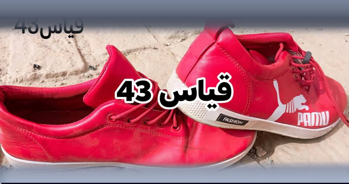 أحذية جديدة كلهن بعشرة آلاف مكاني كرمة بني سعيد


**إذا كنت صاحب هذا الإعلان وتريد حذفه لأي سبب، رجاءا أرسل رسالة إلى الدعم الفني**