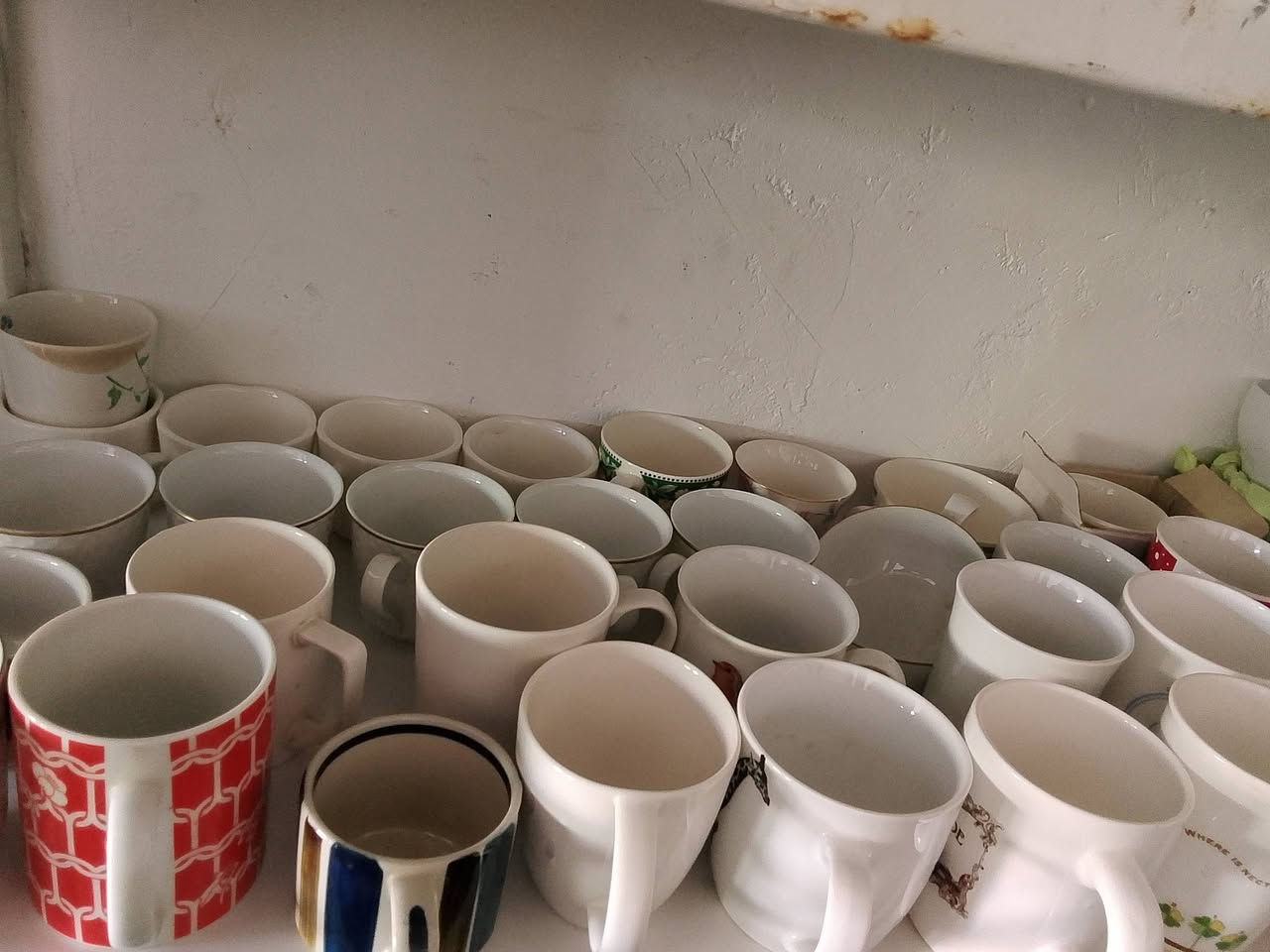 عنوان طوز خورماتو يم امام***********
